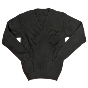 Long  Sleeve V Neck Jersey