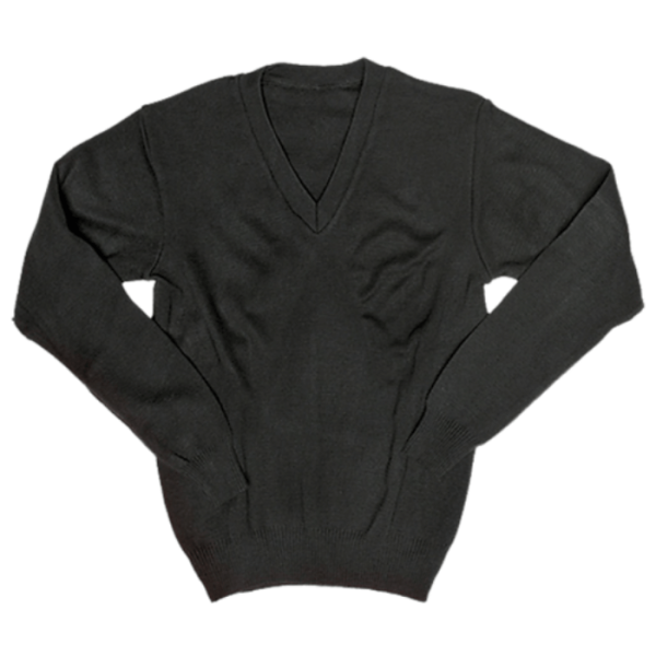 Long  Sleeve V Neck Jersey